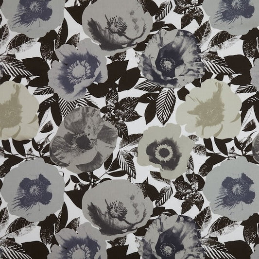 Madone Marble